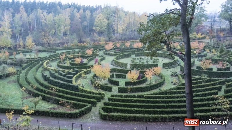 Zdjęcie w galerii na portalu naszraciborz.pl: Gotowa jest platformowa widokowa w Oborze i wieża w Pietrowicach Wielkich  wiadomości z regionu