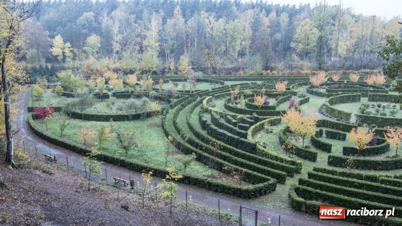 Zdjęcie w galerii na portalu naszraciborz.pl: Gotowa jest platformowa widokowa w Oborze i wieża w Pietrowicach Wielkich  wiadomości z regionu