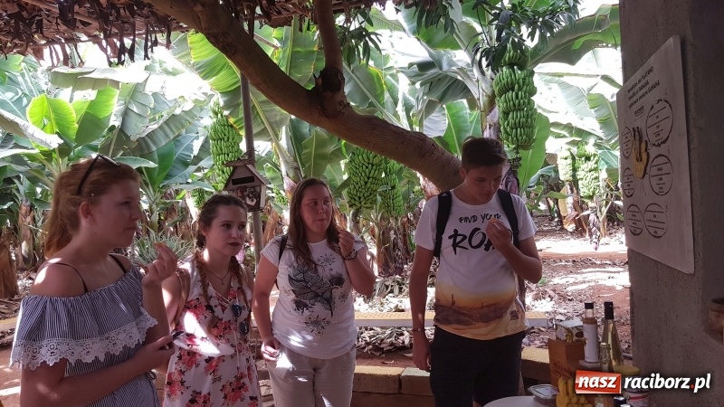 Zdjęcie w galerii na portalu naszraciborz.pl: Bananowy song uczniów CKZiU nr 1 z Raciborza wiadomości z regionu