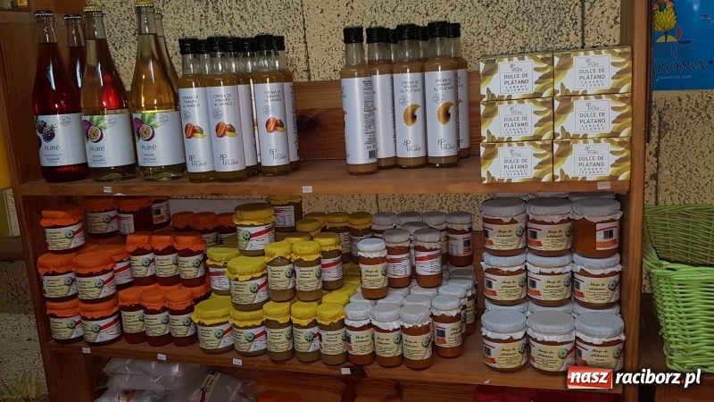 Zdjęcie w galerii na portalu naszraciborz.pl: Bananowy song uczniów CKZiU nr 1 z Raciborza wiadomości z regionu