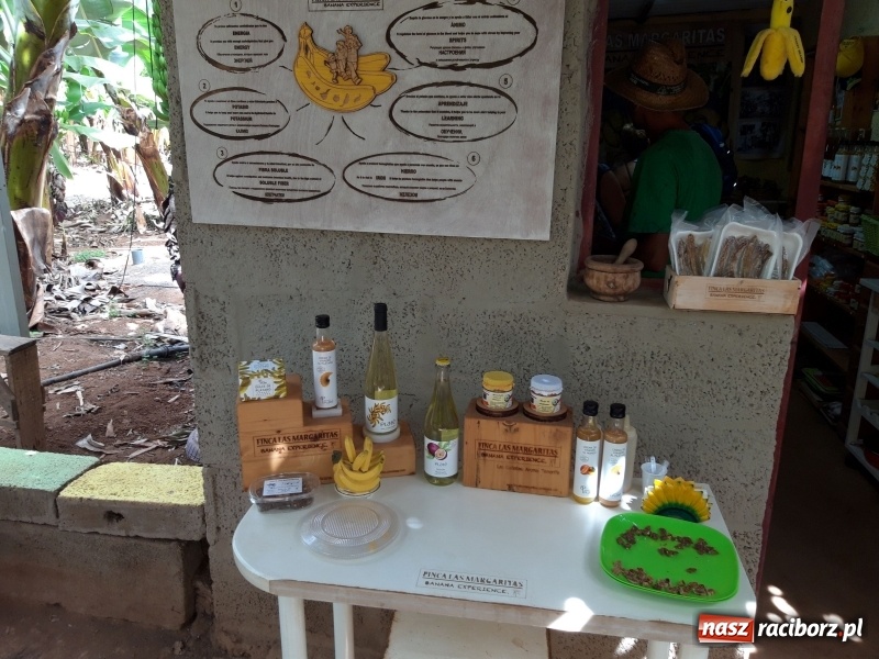 Zdjęcie w galerii na portalu naszraciborz.pl: Bananowy song uczniów CKZiU nr 1 z Raciborza wiadomości z regionu