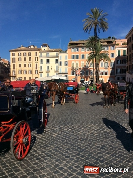Zdjęcie w galerii na portalu naszraciborz.pl: Uczniowie ZSO nr 1 we Włoszech wiadomości z regionu