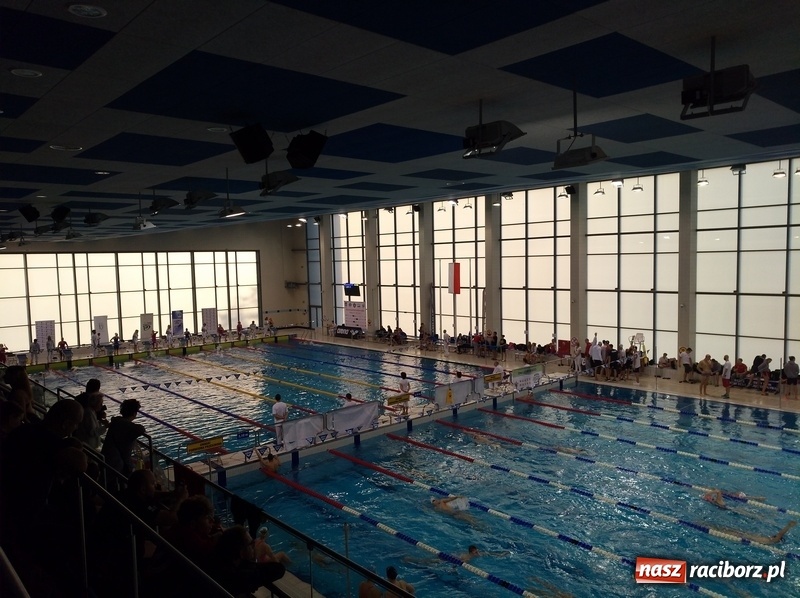 Zdjęcie w galerii na portalu naszraciborz.pl: Pływanie. Pierwsze zawody z cyklu Grand Prix Polski wiadomości z regionu