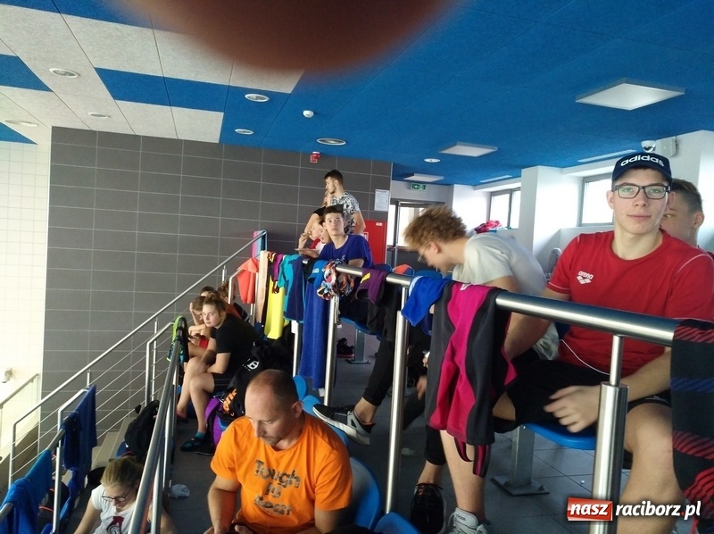 Zdjęcie w galerii na portalu naszraciborz.pl: Pływanie. Pierwsze zawody z cyklu Grand Prix Polski wiadomości z regionu