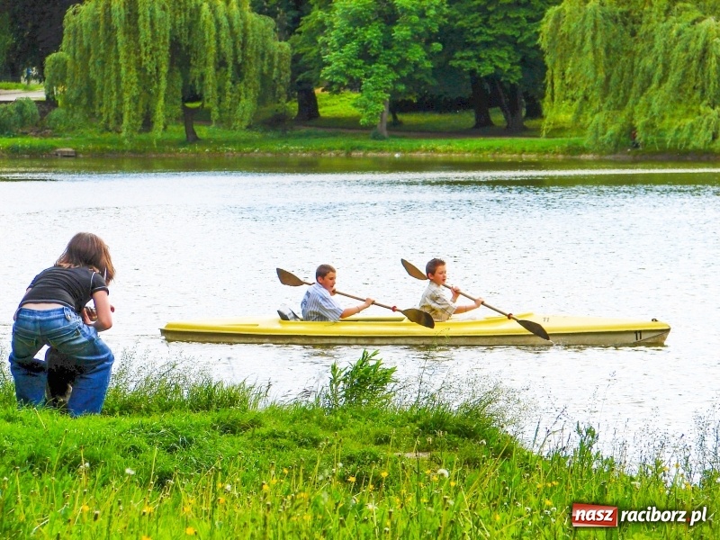 Zdjęcie w galerii na portalu naszraciborz.pl: Wodniacy wracają na staw gondolowy w parku Roth  wiadomości z regionu