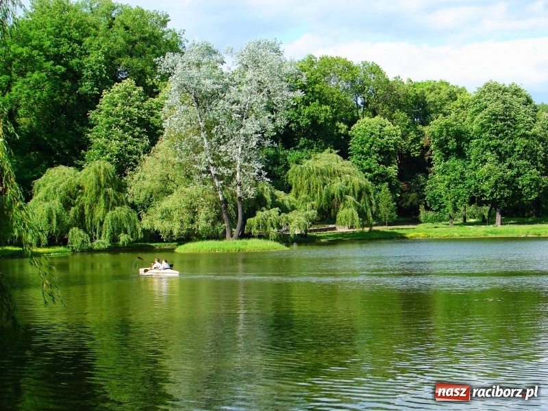Zdjęcie w galerii na portalu naszraciborz.pl: Wodniacy wracają na staw gondolowy w parku Roth  wiadomości z regionu