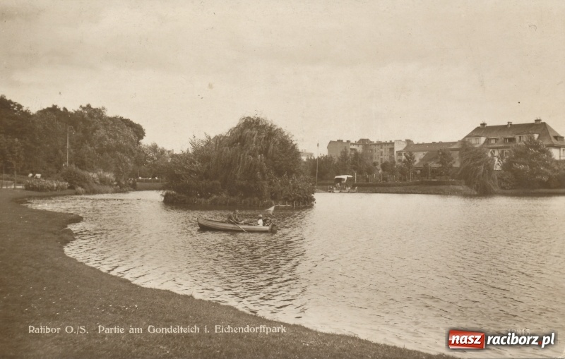 Zdjęcie w galerii na portalu naszraciborz.pl: Wodniacy wracają na staw gondolowy w parku Roth  wiadomości z regionu