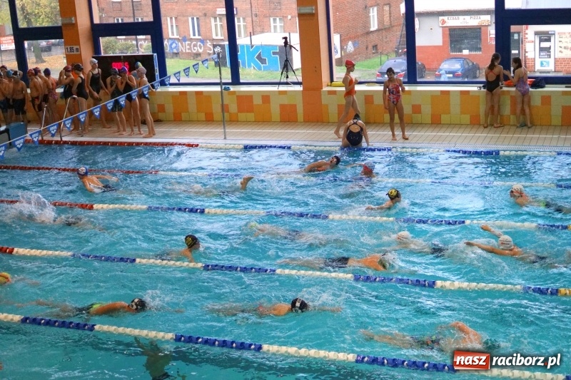 Zdjęcie w galerii na portalu naszraciborz.pl: Brązowa sztafeta dziewcząt z SP 15 wiadomości z regionu