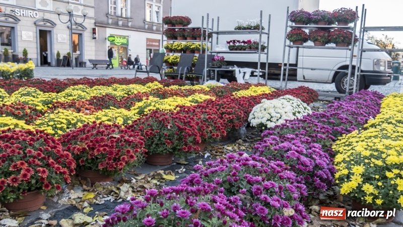 Zdjęcie w galerii na portalu naszraciborz.pl: Racibórz gotowy na Wszystkich Świętych i Dzień Zaduszny. Groby z roku na rok odwiedza coraz mniej osób wiadomości z regionu