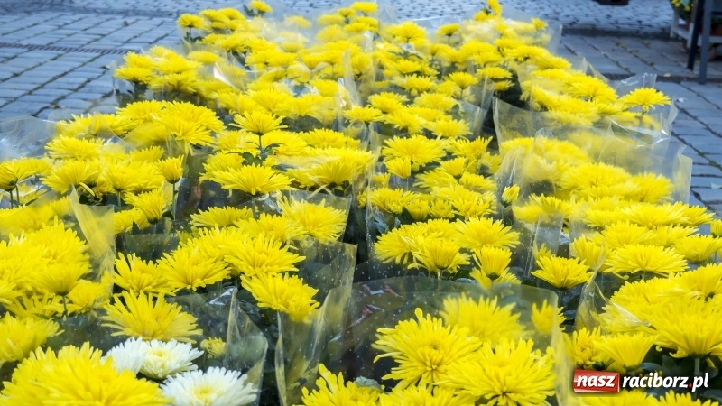 Zdjęcie w galerii na portalu naszraciborz.pl: Racibórz gotowy na Wszystkich Świętych i Dzień Zaduszny. Groby z roku na rok odwiedza coraz mniej osób wiadomości z regionu