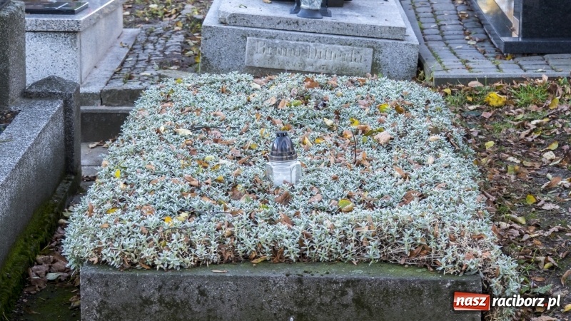 Zdjęcie w galerii na portalu naszraciborz.pl: Racibórz gotowy na Wszystkich Świętych i Dzień Zaduszny. Groby z roku na rok odwiedza coraz mniej osób wiadomości z regionu