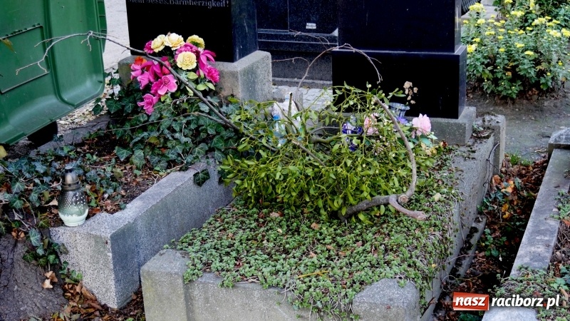 Zdjęcie w galerii na portalu naszraciborz.pl: Racibórz gotowy na Wszystkich Świętych i Dzień Zaduszny. Groby z roku na rok odwiedza coraz mniej osób wiadomości z regionu