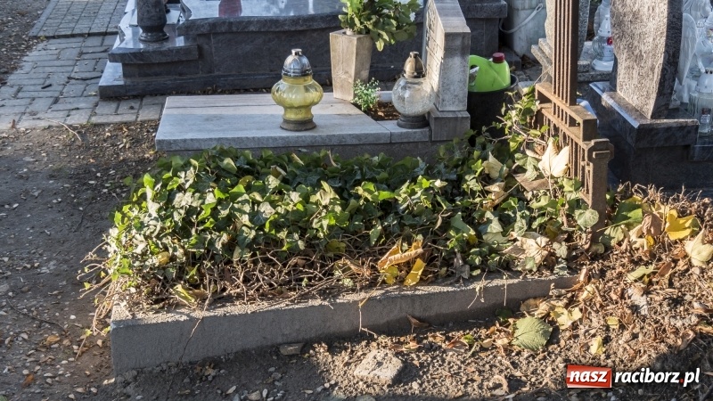 Zdjęcie w galerii na portalu naszraciborz.pl: Racibórz gotowy na Wszystkich Świętych i Dzień Zaduszny. Groby z roku na rok odwiedza coraz mniej osób wiadomości z regionu