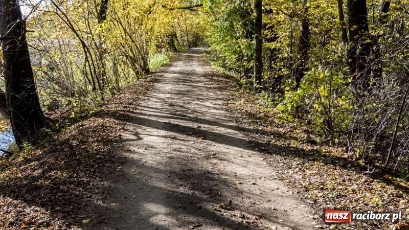 Zdjęcie w galerii na portalu naszraciborz.pl: Powstaje droga rowerowa na Łężczok. Budowa potrwa jeszcze blisko rok wiadomości z regionu