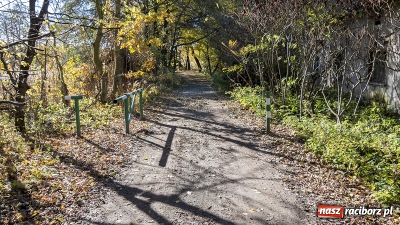 Zdjęcie w galerii na portalu naszraciborz.pl: Powstaje droga rowerowa na Łężczok. Budowa potrwa jeszcze blisko rok wiadomości z regionu
