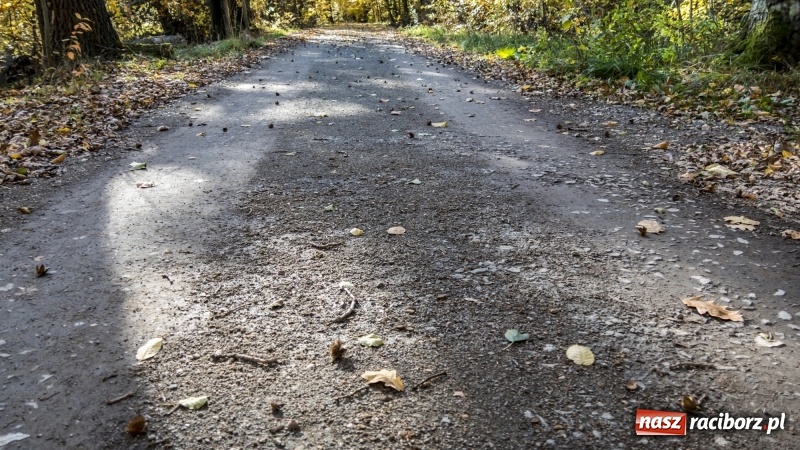 Zdjęcie w galerii na portalu naszraciborz.pl: Powstaje droga rowerowa na Łężczok. Budowa potrwa jeszcze blisko rok wiadomości z regionu