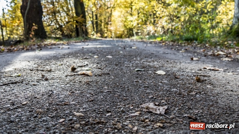Zdjęcie w galerii na portalu naszraciborz.pl: Powstaje droga rowerowa na Łężczok. Budowa potrwa jeszcze blisko rok wiadomości z regionu