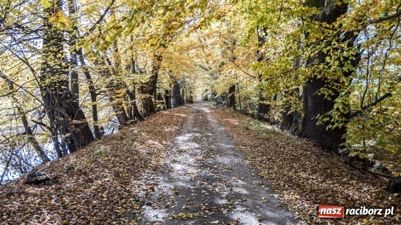 Zdjęcie w galerii na portalu naszraciborz.pl: Powstaje droga rowerowa na Łężczok. Budowa potrwa jeszcze blisko rok wiadomości z regionu