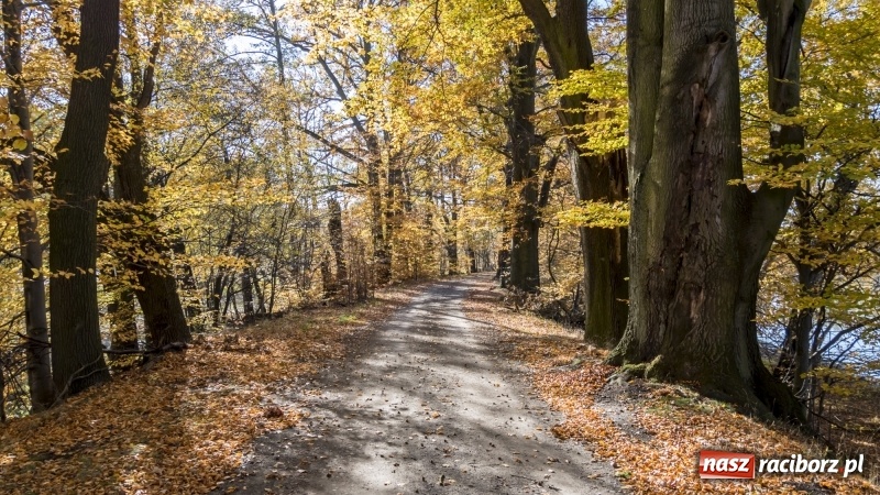 Zdjęcie w galerii na portalu naszraciborz.pl: Powstaje droga rowerowa na Łężczok. Budowa potrwa jeszcze blisko rok wiadomości z regionu