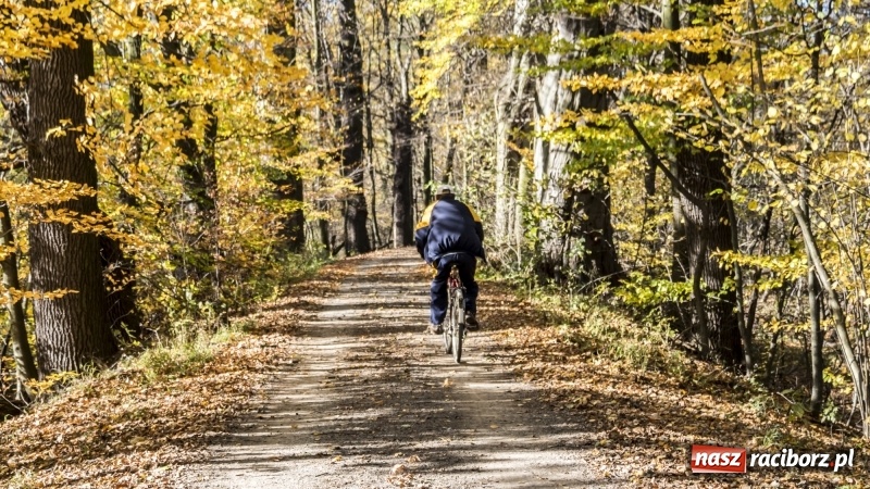 Zdjęcie w galerii na portalu naszraciborz.pl: Powstaje droga rowerowa na Łężczok. Budowa potrwa jeszcze blisko rok wiadomości z regionu