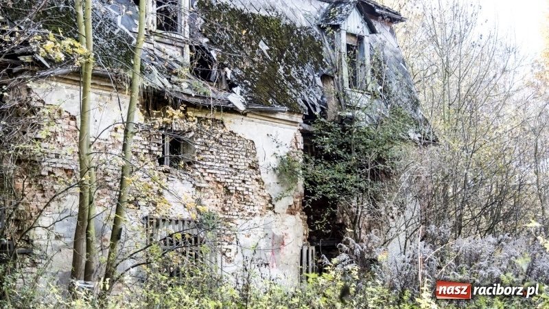 Zdjęcie w galerii na portalu naszraciborz.pl: Powstaje droga rowerowa na Łężczok. Budowa potrwa jeszcze blisko rok wiadomości z regionu