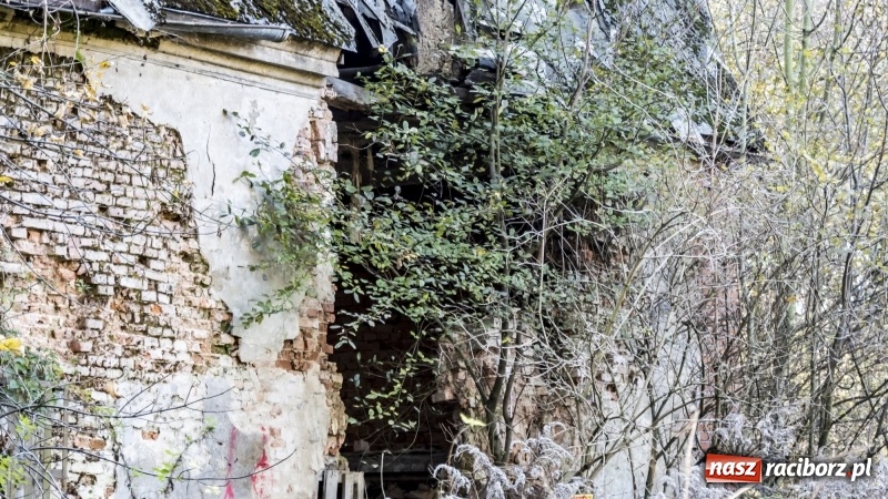 Zdjęcie w galerii na portalu naszraciborz.pl: Powstaje droga rowerowa na Łężczok. Budowa potrwa jeszcze blisko rok wiadomości z regionu