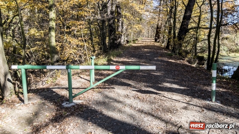 Zdjęcie w galerii na portalu naszraciborz.pl: Powstaje droga rowerowa na Łężczok. Budowa potrwa jeszcze blisko rok wiadomości z regionu