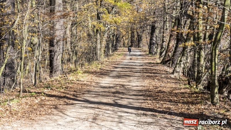 Zdjęcie w galerii na portalu naszraciborz.pl: Powstaje droga rowerowa na Łężczok. Budowa potrwa jeszcze blisko rok wiadomości z regionu