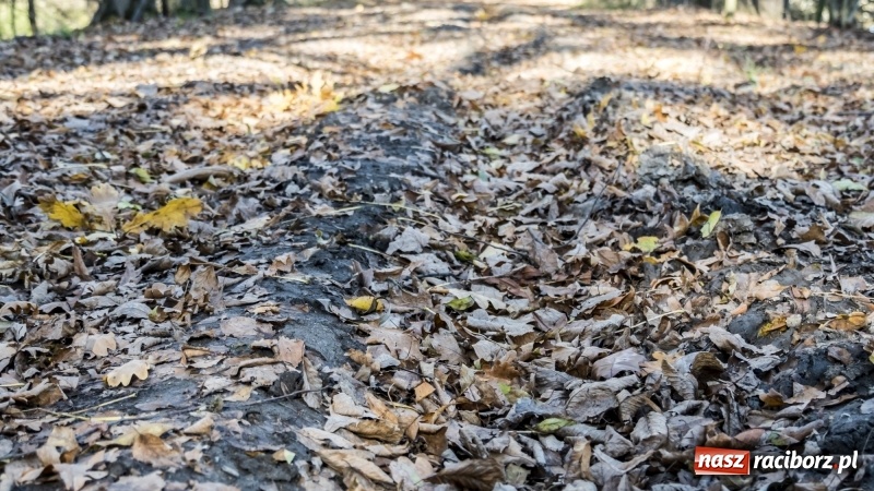 Zdjęcie w galerii na portalu naszraciborz.pl: Powstaje droga rowerowa na Łężczok. Budowa potrwa jeszcze blisko rok wiadomości z regionu