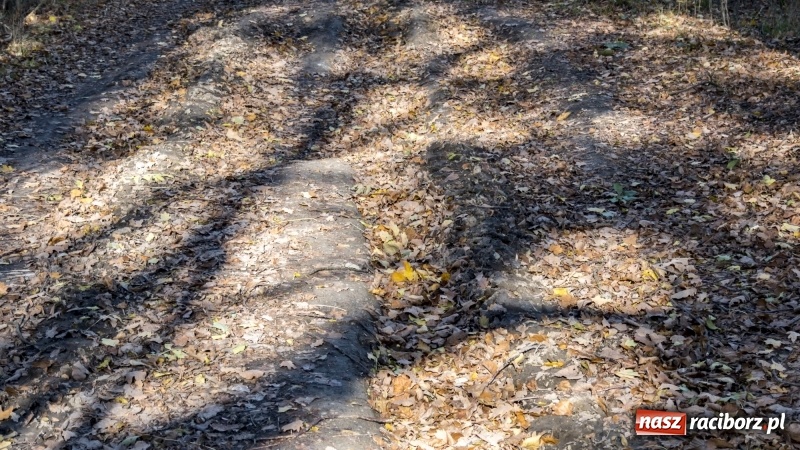 Zdjęcie w galerii na portalu naszraciborz.pl: Powstaje droga rowerowa na Łężczok. Budowa potrwa jeszcze blisko rok wiadomości z regionu