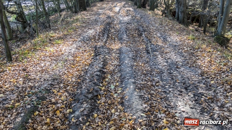 Zdjęcie w galerii na portalu naszraciborz.pl: Powstaje droga rowerowa na Łężczok. Budowa potrwa jeszcze blisko rok wiadomości z regionu
