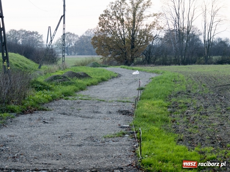 Zdjęcie w galerii na portalu naszraciborz.pl: Powstaje droga rowerowa na Łężczok. Budowa potrwa jeszcze blisko rok wiadomości z regionu