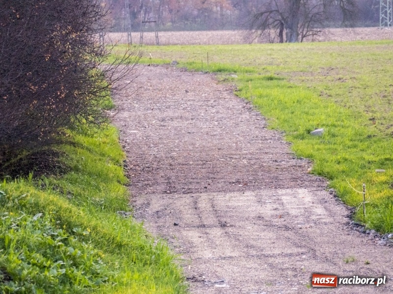 Zdjęcie w galerii na portalu naszraciborz.pl: Powstaje droga rowerowa na Łężczok. Budowa potrwa jeszcze blisko rok wiadomości z regionu