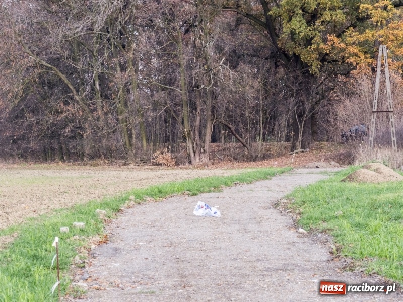 Zdjęcie w galerii na portalu naszraciborz.pl: Powstaje droga rowerowa na Łężczok. Budowa potrwa jeszcze blisko rok wiadomości z regionu