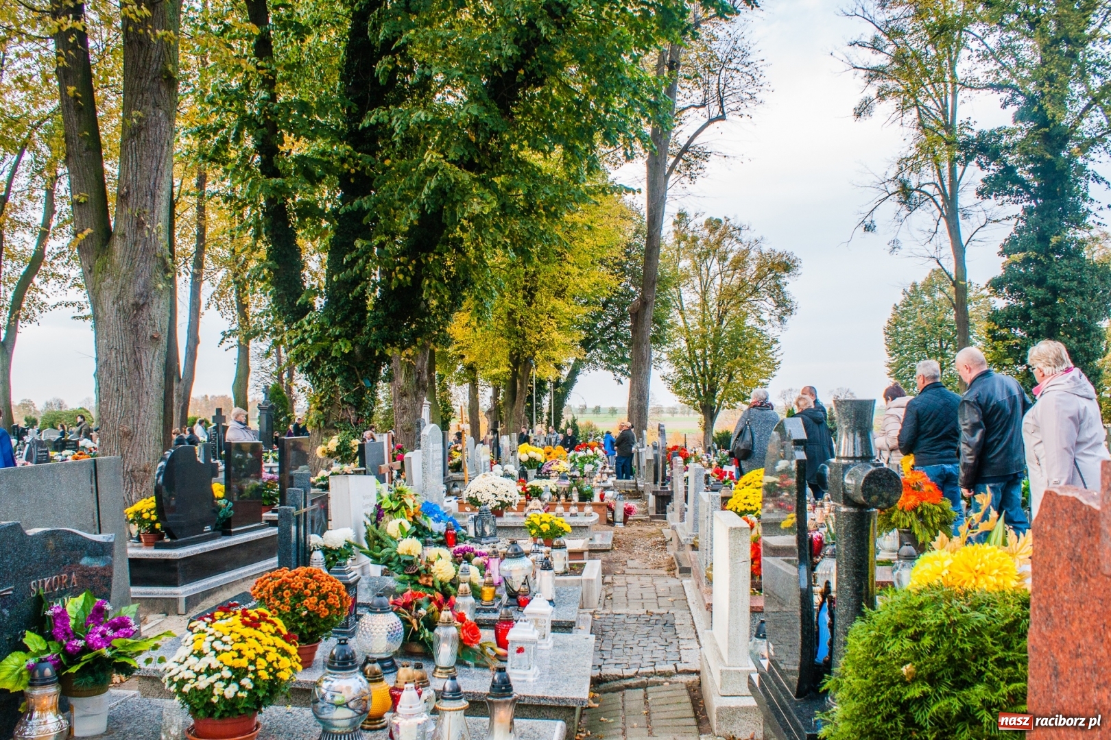 Zdjęcie w galerii na portalu naszraciborz.pl: Raciborskie nieszpory i procesja na Jeruzalem  wiadomości z regionu