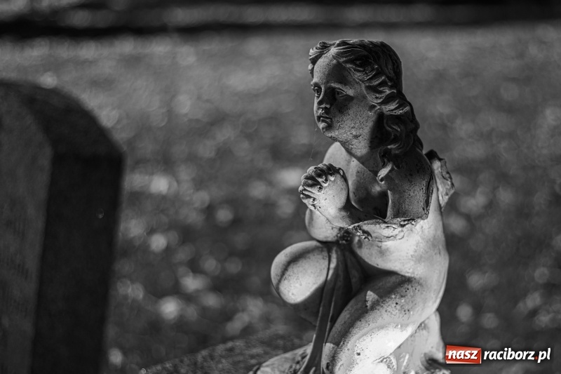 Zdjęcie w galerii na portalu naszraciborz.pl: Wszystkich Świętych. Raciborskie nekropolie po zmierzchu  wiadomości z regionu