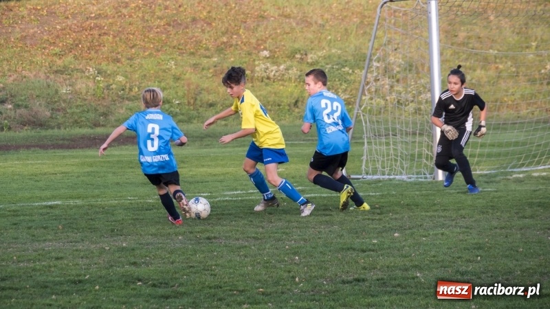 Zdjęcie w galerii na portalu naszraciborz.pl: Młodziki Unii Racibórz mistrzem jesieni wiadomości z regionu