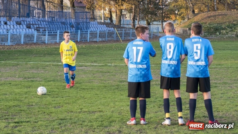 Zdjęcie w galerii na portalu naszraciborz.pl: Młodziki Unii Racibórz mistrzem jesieni wiadomości z regionu