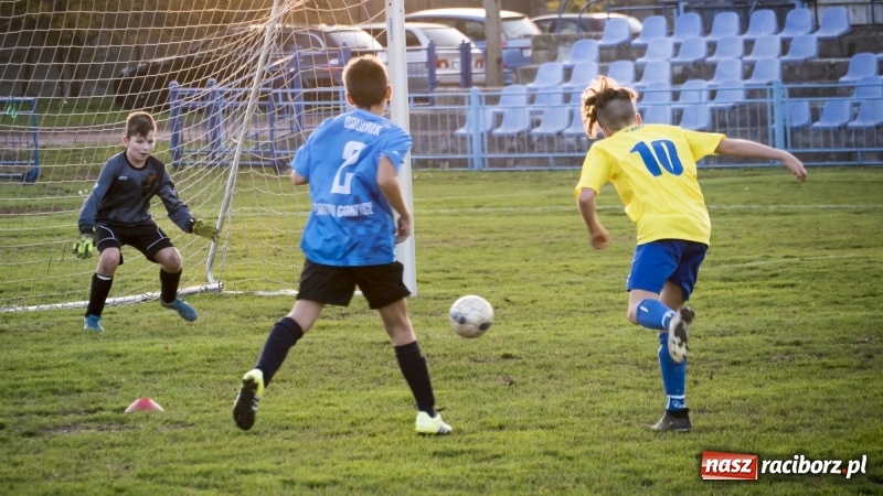 Zdjęcie w galerii na portalu naszraciborz.pl: Młodziki Unii Racibórz mistrzem jesieni wiadomości z regionu