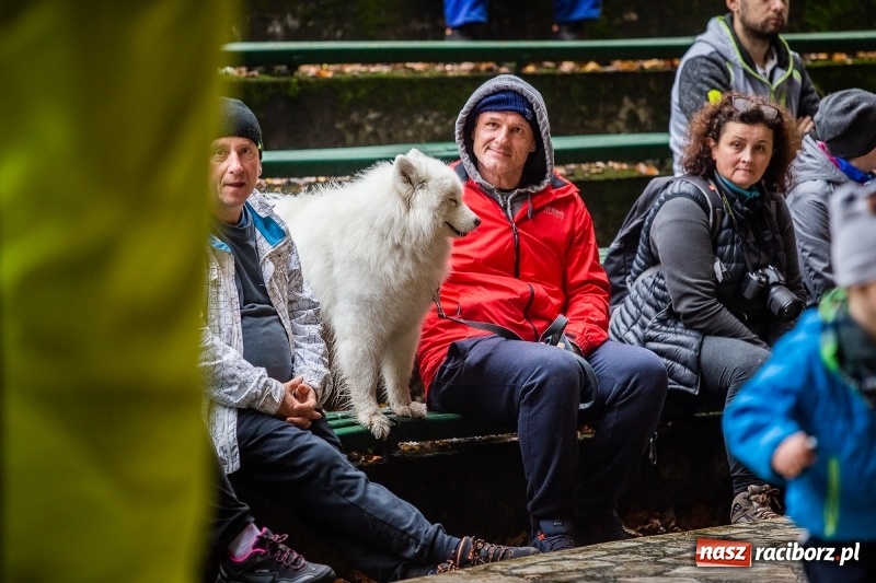 Zdjęcie w galerii na portalu naszraciborz.pl: SZCZEKOWYJE, czyli I Ogólnopolskie Zawody Psich Zaprzęgów w Rudach  wiadomości z regionu