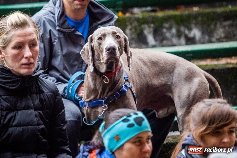 Zdjęcie w galerii na portalu naszraciborz.pl: SZCZEKOWYJE, czyli I Ogólnopolskie Zawody Psich Zaprzęgów w Rudach  wiadomości z regionu