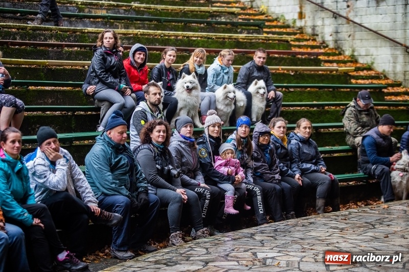 Zdjęcie w galerii na portalu naszraciborz.pl: SZCZEKOWYJE, czyli I Ogólnopolskie Zawody Psich Zaprzęgów w Rudach  wiadomości z regionu