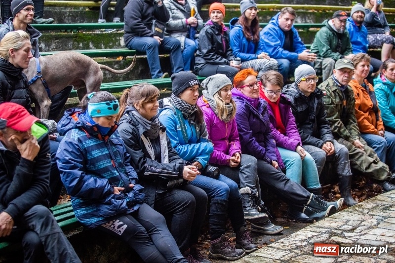 Zdjęcie w galerii na portalu naszraciborz.pl: SZCZEKOWYJE, czyli I Ogólnopolskie Zawody Psich Zaprzęgów w Rudach  wiadomości z regionu