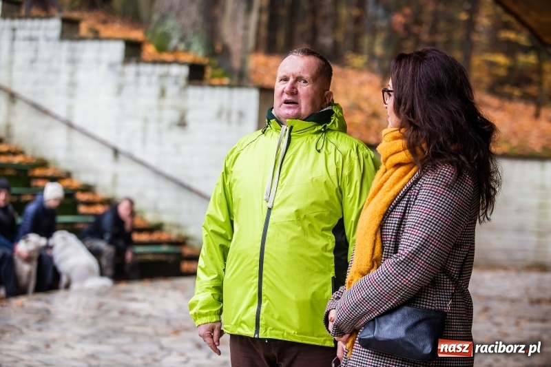 Zdjęcie w galerii na portalu naszraciborz.pl: SZCZEKOWYJE, czyli I Ogólnopolskie Zawody Psich Zaprzęgów w Rudach  wiadomości z regionu