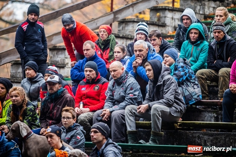 Zdjęcie w galerii na portalu naszraciborz.pl: SZCZEKOWYJE, czyli I Ogólnopolskie Zawody Psich Zaprzęgów w Rudach  wiadomości z regionu