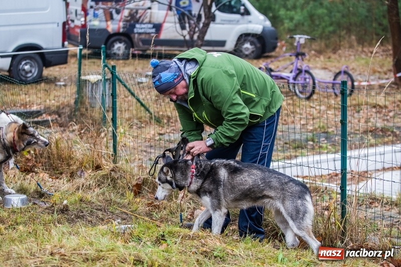 Zdjęcie w galerii na portalu naszraciborz.pl: SZCZEKOWYJE, czyli I Ogólnopolskie Zawody Psich Zaprzęgów w Rudach  wiadomości z regionu