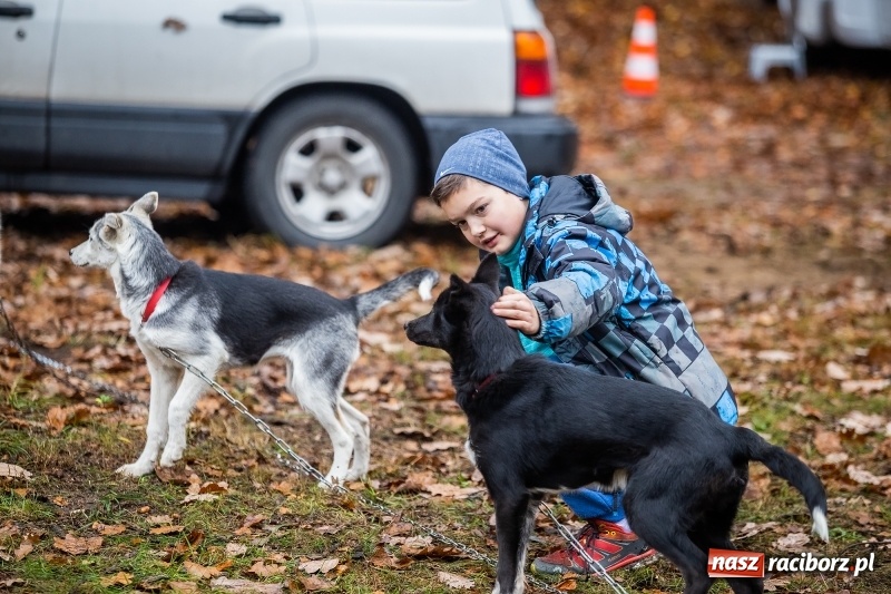 Zdjęcie w galerii na portalu naszraciborz.pl: SZCZEKOWYJE, czyli I Ogólnopolskie Zawody Psich Zaprzęgów w Rudach  wiadomości z regionu