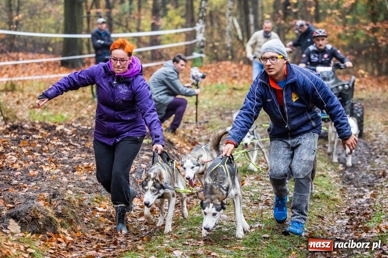 Zdjęcie w galerii na portalu naszraciborz.pl: SZCZEKOWYJE, czyli I Ogólnopolskie Zawody Psich Zaprzęgów w Rudach  wiadomości z regionu