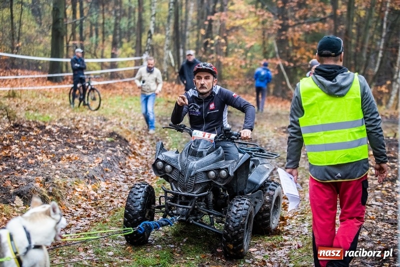 Zdjęcie w galerii na portalu naszraciborz.pl: SZCZEKOWYJE, czyli I Ogólnopolskie Zawody Psich Zaprzęgów w Rudach  wiadomości z regionu