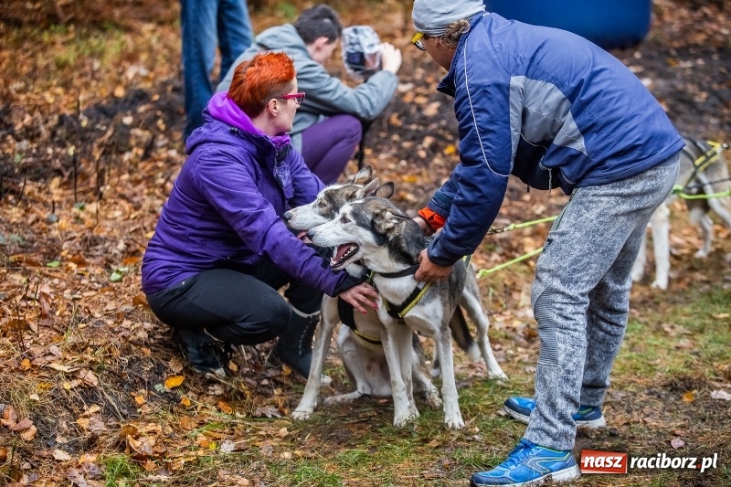 Zdjęcie w galerii na portalu naszraciborz.pl: SZCZEKOWYJE, czyli I Ogólnopolskie Zawody Psich Zaprzęgów w Rudach  wiadomości z regionu